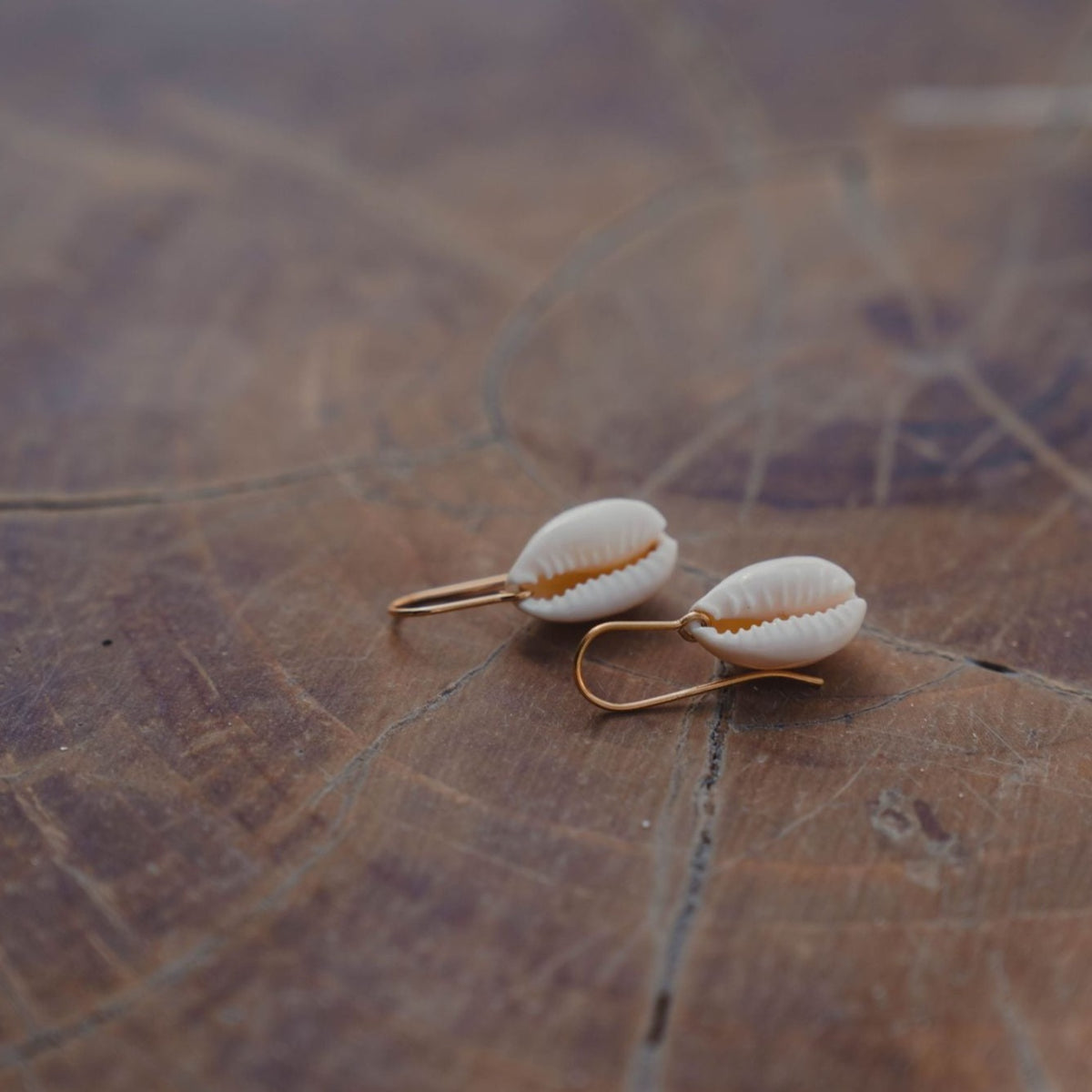 Boucle d'oreille cauri plaqué or