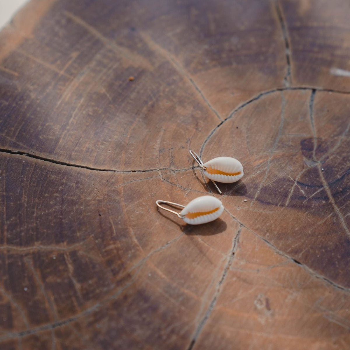 Boucle d'oreille cauri argent