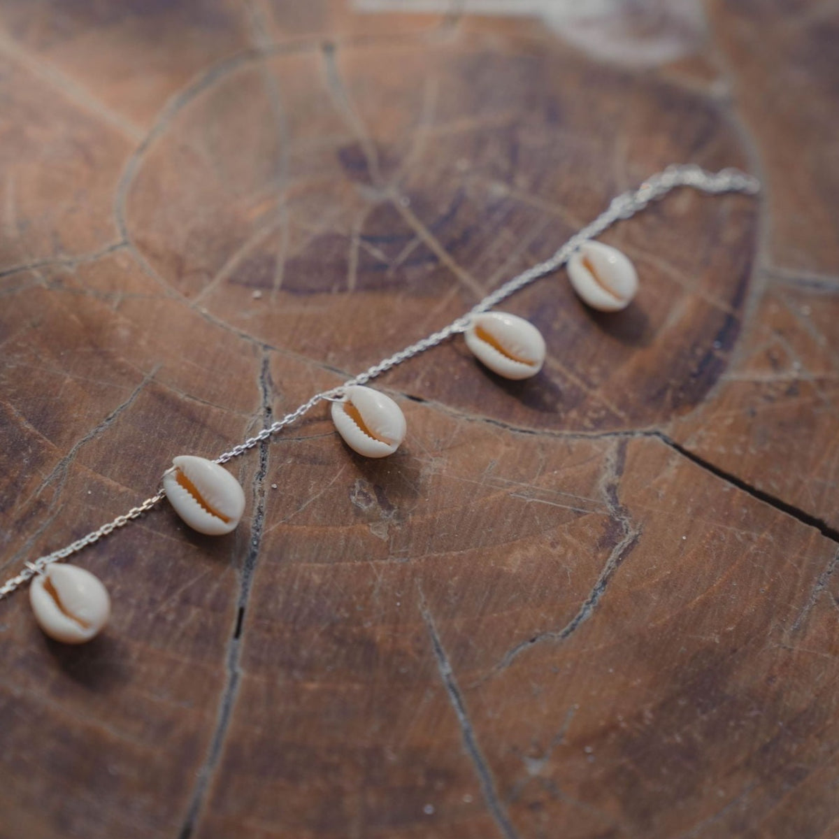 Bracelet 5 cauris argent