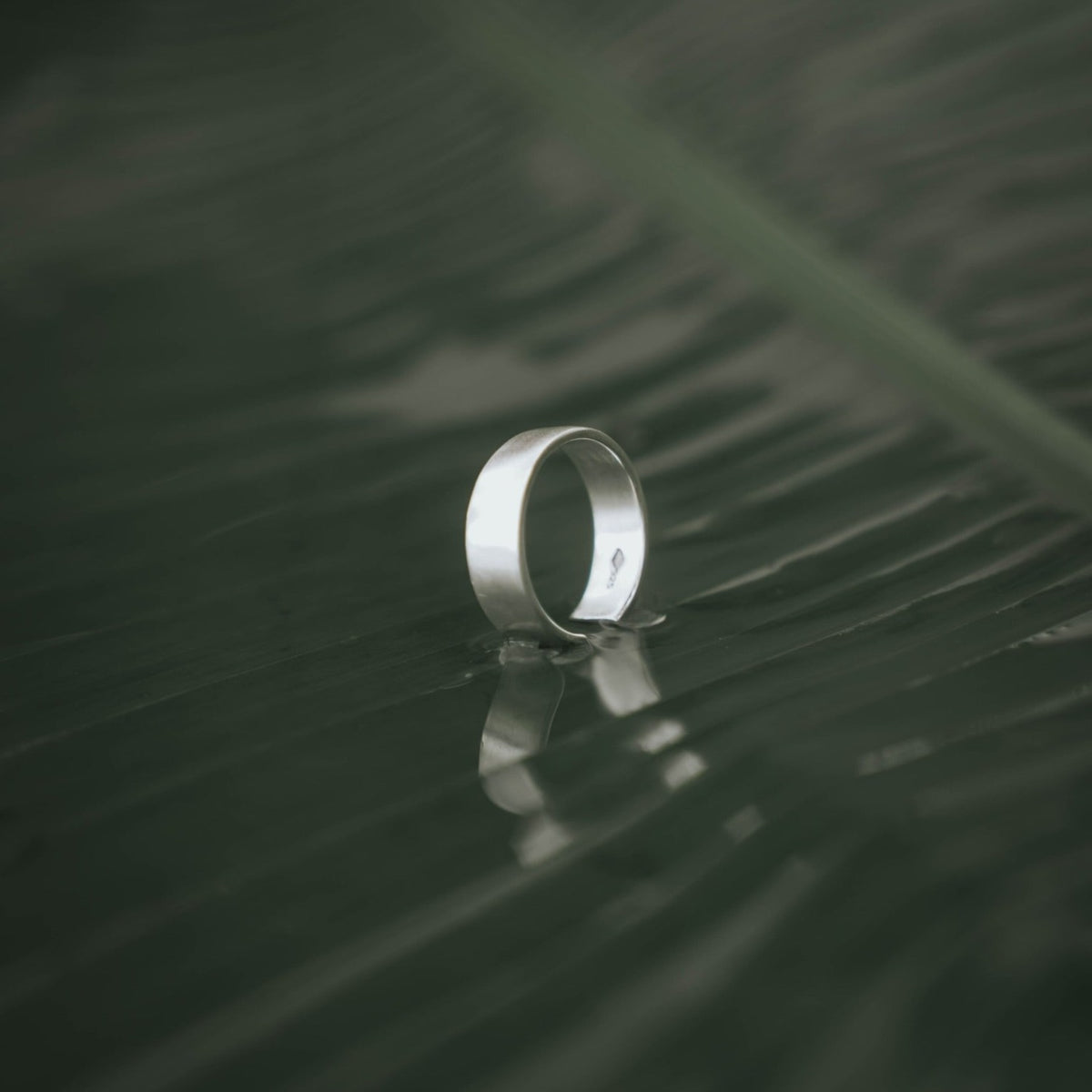 Bague "Milano" Argent - LES FÉLINES PARIS